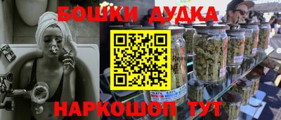 индика Дубна