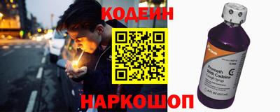 индика Дубна
