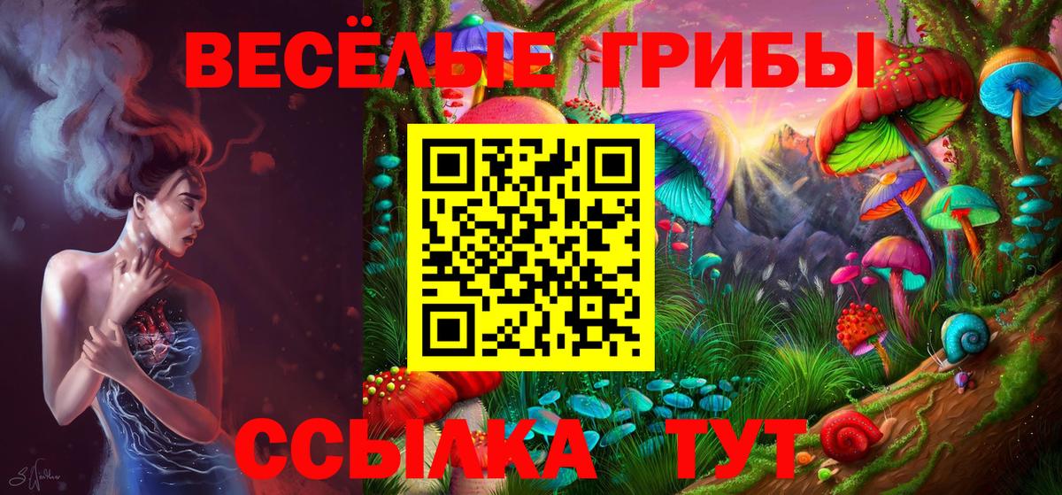 Люберцы  Псилоцибиновые грибы GOLDEN TEACHER  закладка  Вход с VPN 